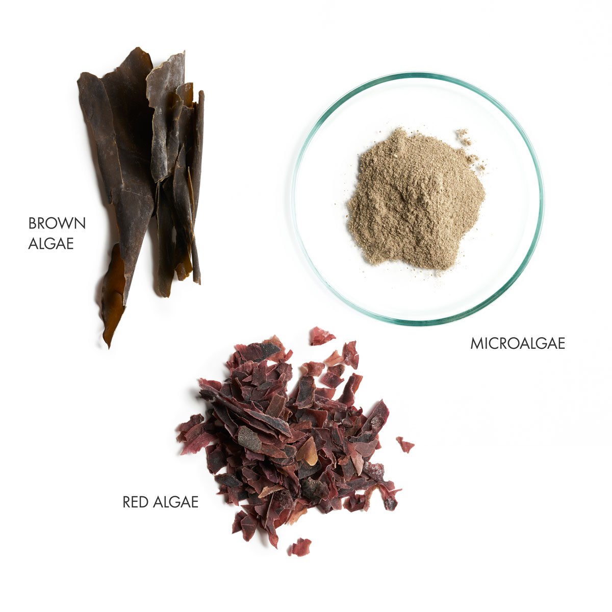 Ingredient-homme