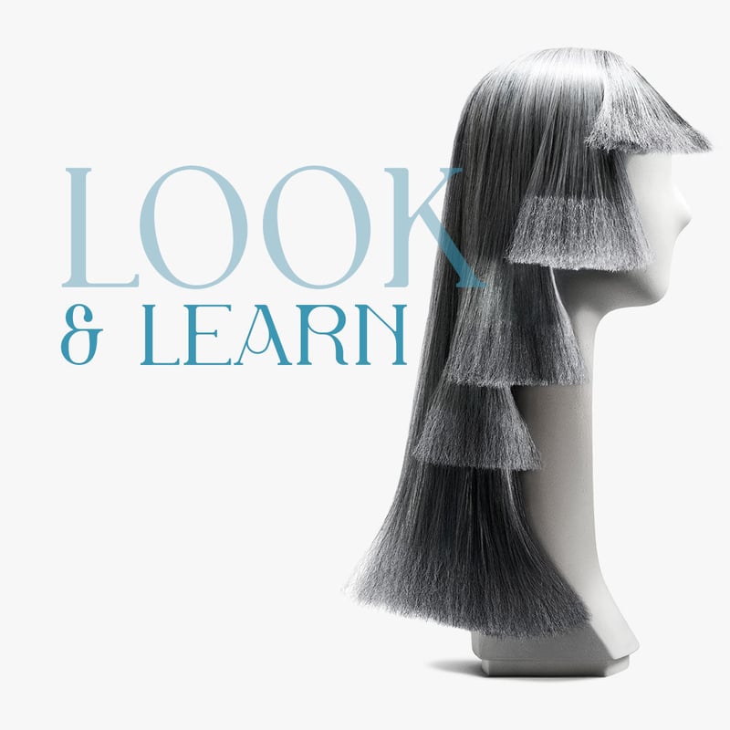 Look-learn-sq