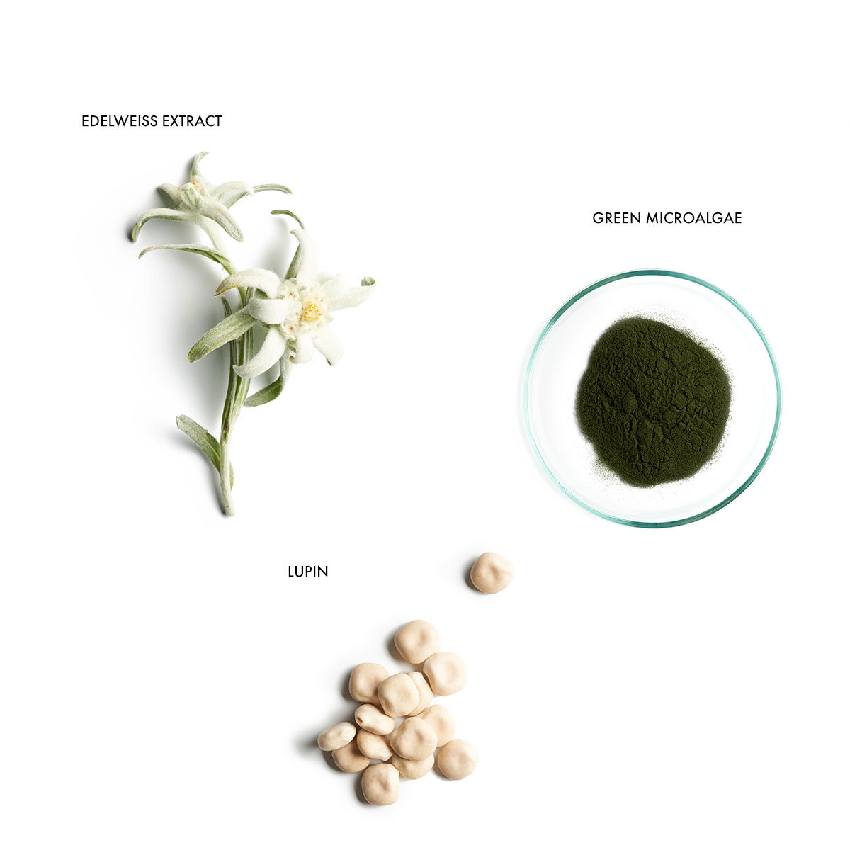 MRegen_Scalp_ingredients